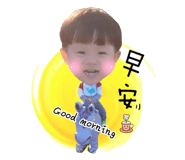 54081462