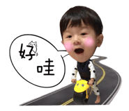 54081466