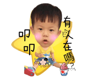 54081484