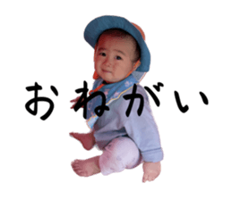 540815626