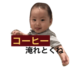 54082386