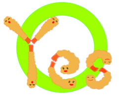5409456