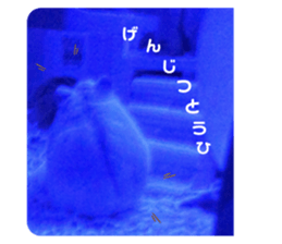 540950122