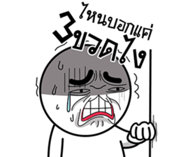 ลายที่ 13