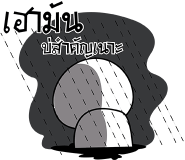 ลายที่ 25