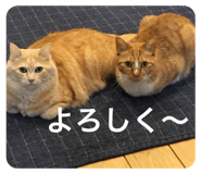 540989497
