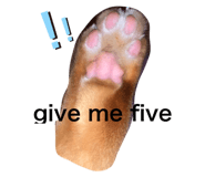 541009832