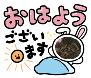 541014268