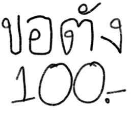 ลายที่ 13