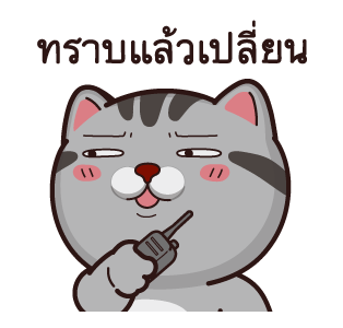 วีต้าแมวป่วน จอมดราม่า รูปที่ 1
