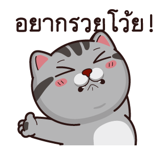 วีต้าแมวป่วน จอมดราม่า รูปที่ 2