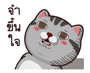 วีต้าแมวป่วน จอมดราม่า รูปที่ 14