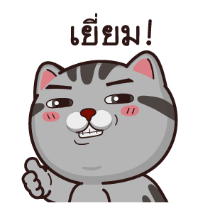 วีต้าแมวป่วน จอมดราม่า รูปที่ 15