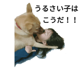 541223957
