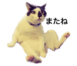 541237589