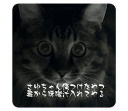 541257800