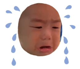 541319645