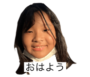 541365455