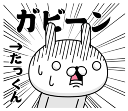 54136561
