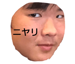 541441566