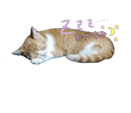 541458455