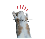 541458456