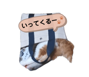 541458457