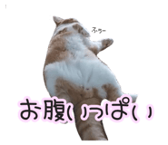 541458458