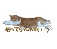 541458462