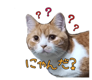 541458464