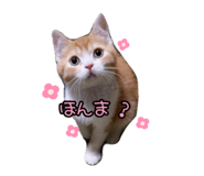 541458476