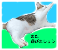 541489447