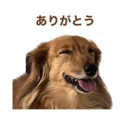 541501779