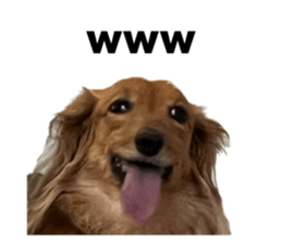 541501782