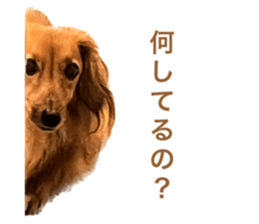 541501786