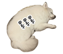 541509536