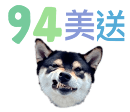 541516125