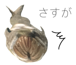 541559948