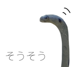 541559951