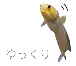 541559961