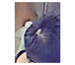 541690930