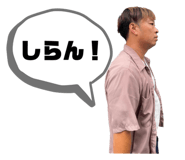 541704238
