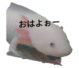 541714732