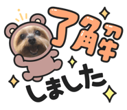 541724501
