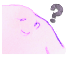 541739319
