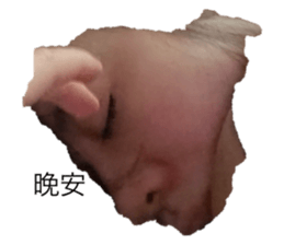 541894174