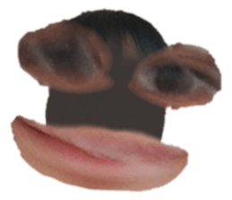 541908100