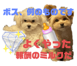 541910285