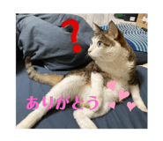 541927442