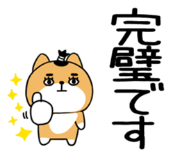 541955902